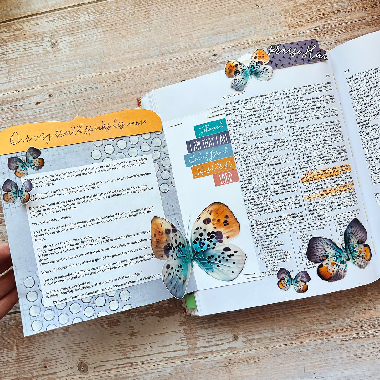 A Year of the New Testament