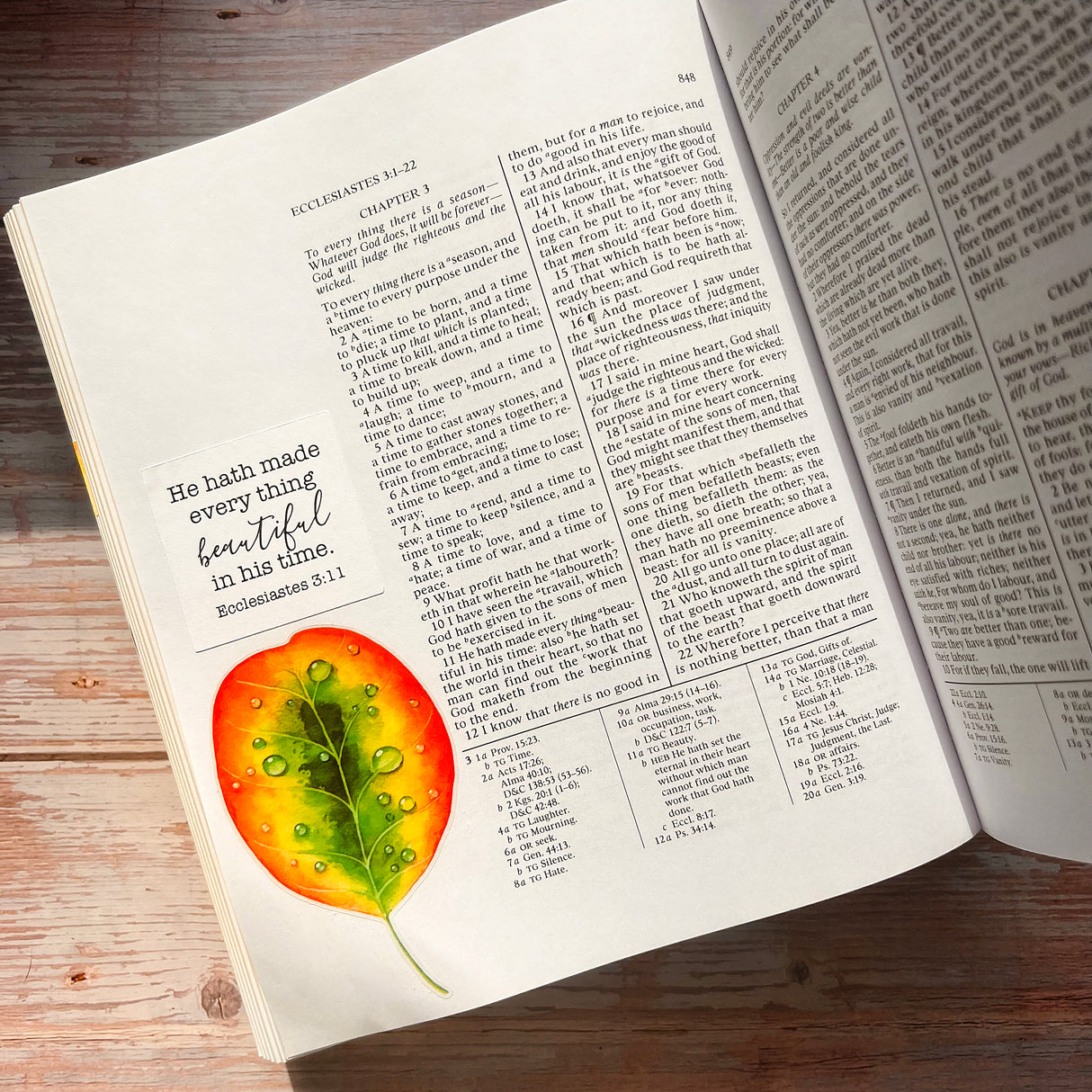 Autumn Leaves Sticker Set