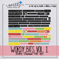 Wordy Bits: Study