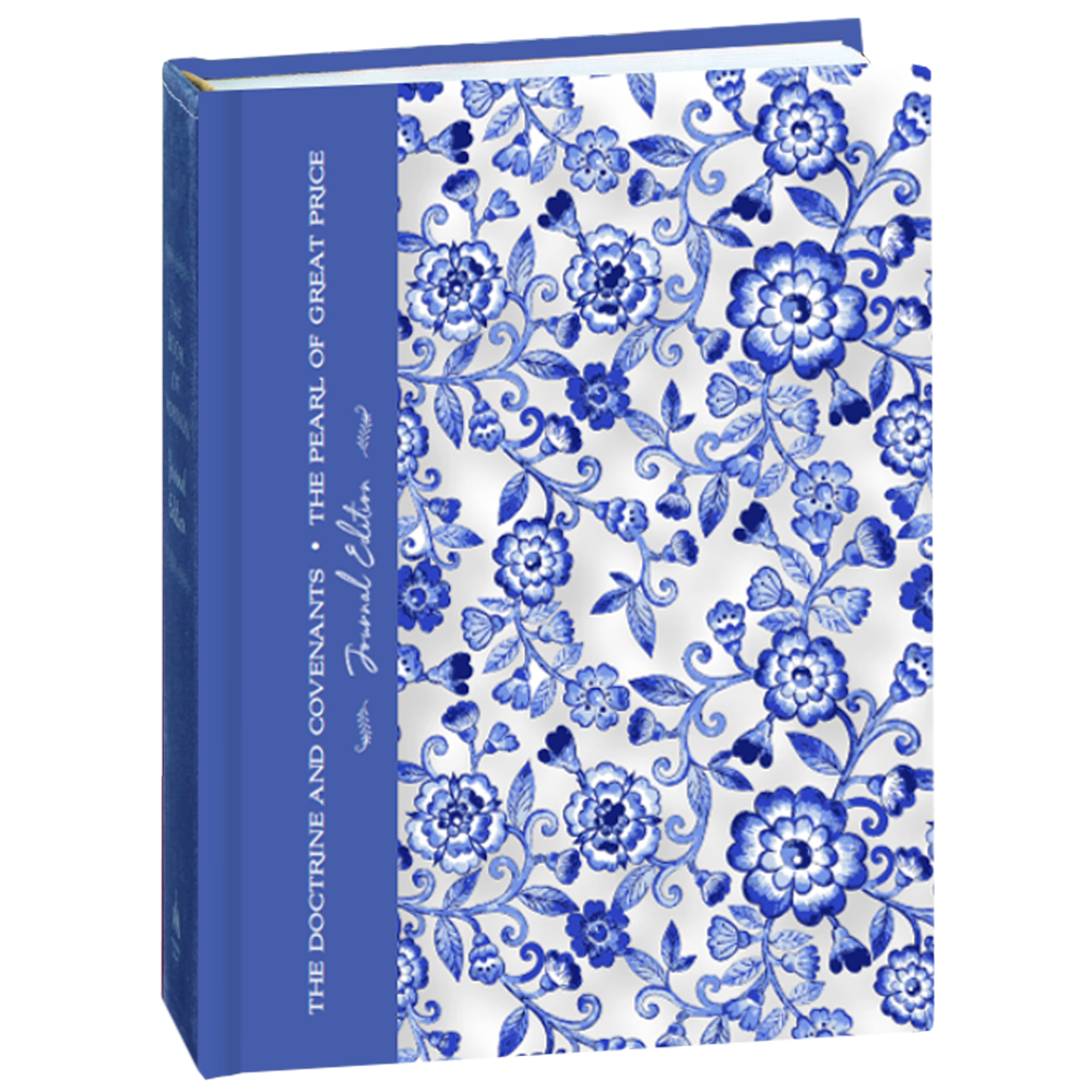 Choose Book Cover- D&C