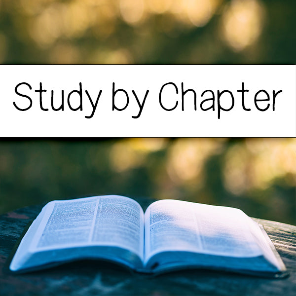 Study by Chapters