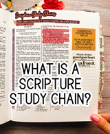 Liberty is Lost Sticker Set