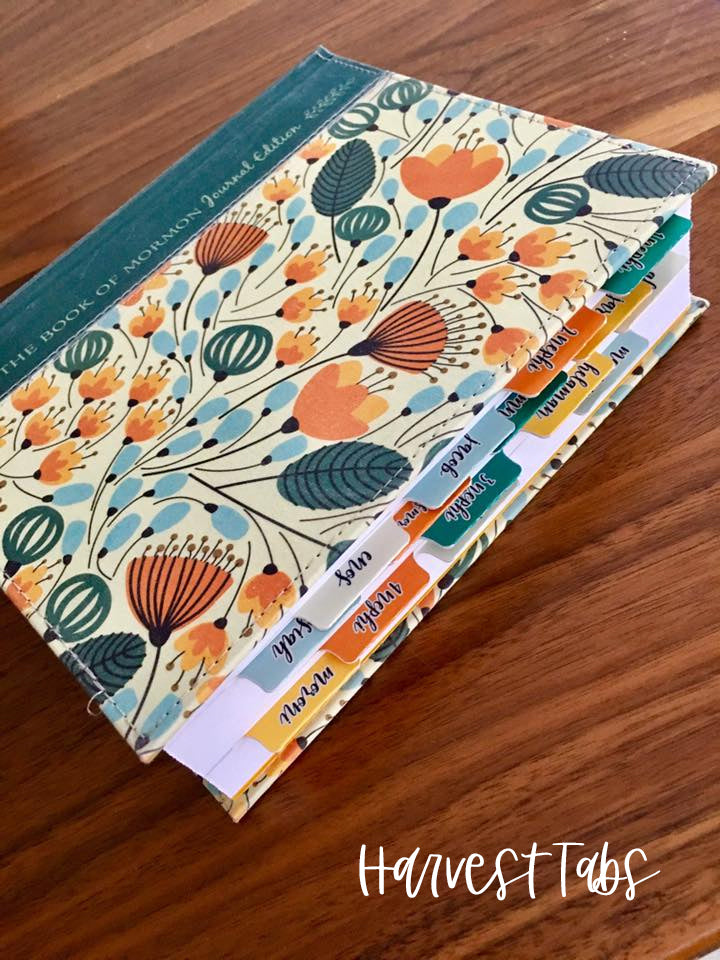 Scripture Book Title Tabs- Physical Set