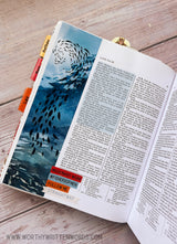 Fishers of Men Sticker Set