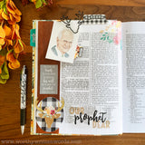 A Year of the Book of Mormon