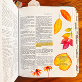 Autumn Leaves Sticker Set