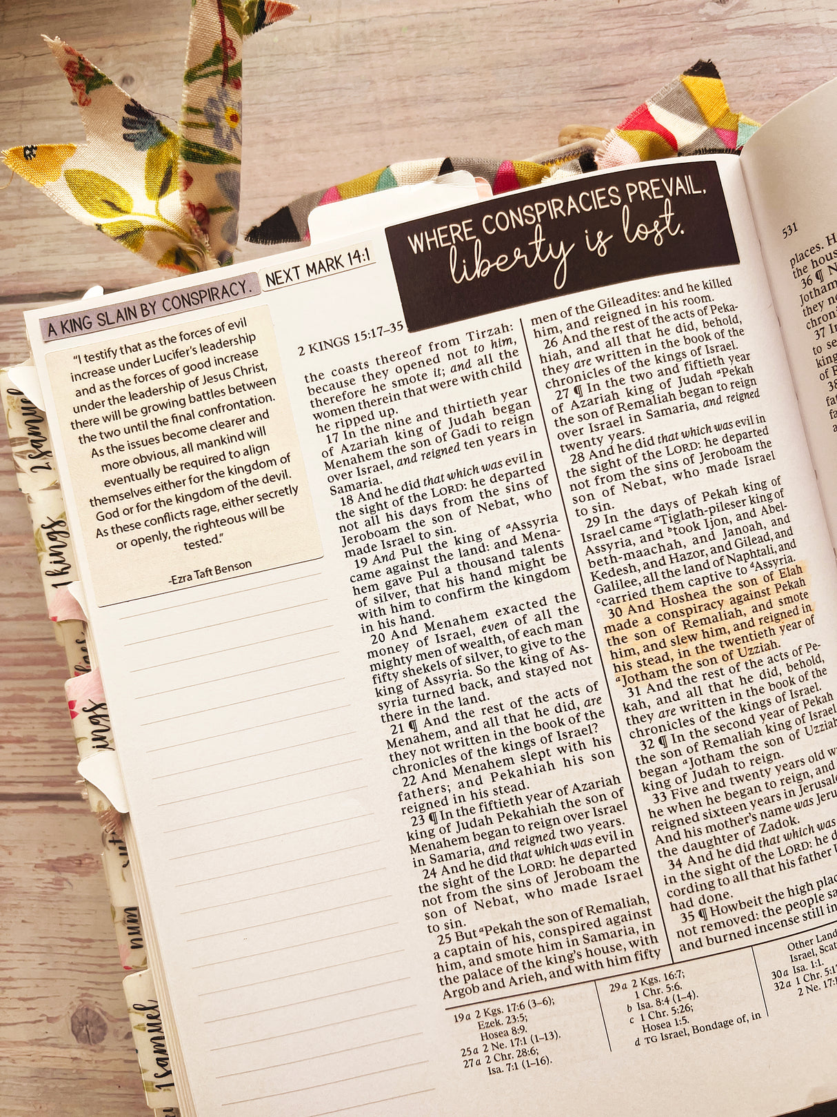 Liberty is Lost Sticker Set