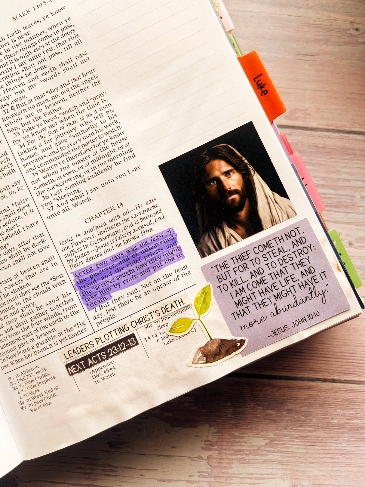 Liberty is Lost Sticker Set