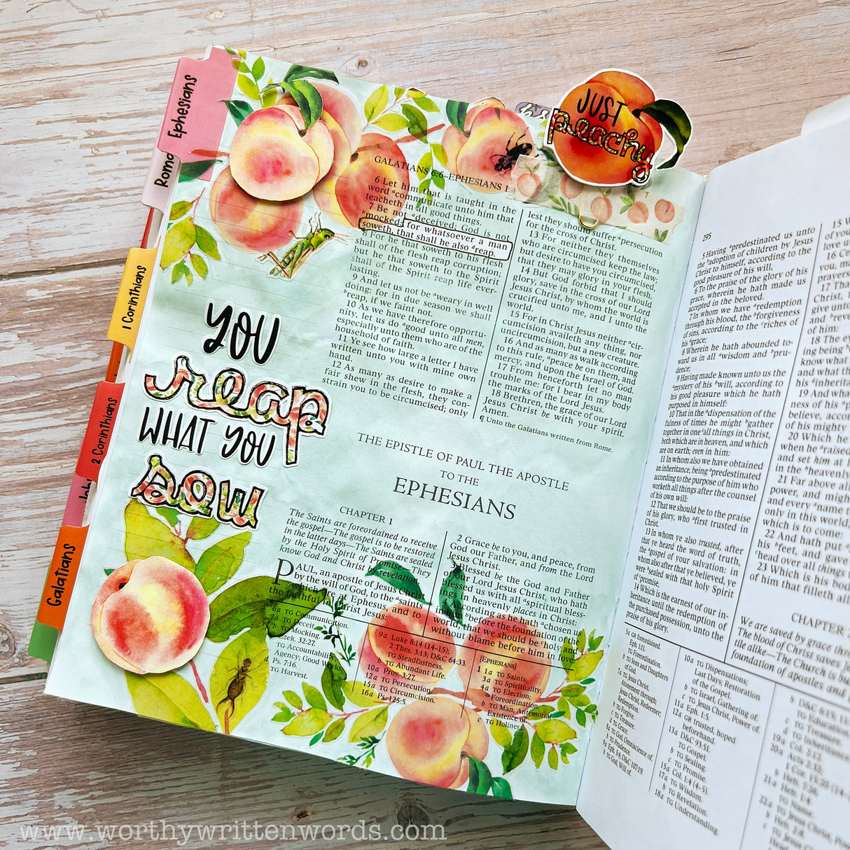 A Year of the New Testament