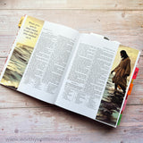 Tell Me the Stories of Jesus Sticker Sheets