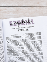 Old Testament Titles Sticker Kit | Monthly Scripture Sticker Subscription