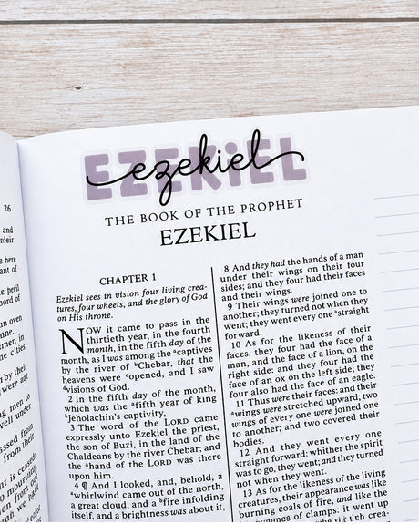 Old Testament Book Title Stickers | Clear Bible Journaling Stickers