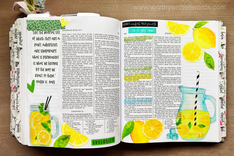 Lemonade Sticker Sheets