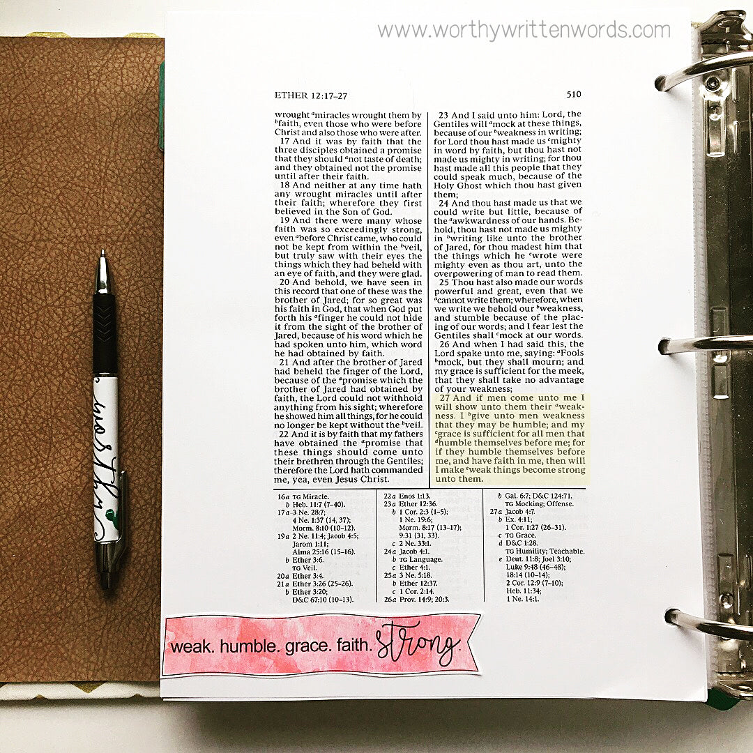 Book of Mormon Border Lines Volume 1