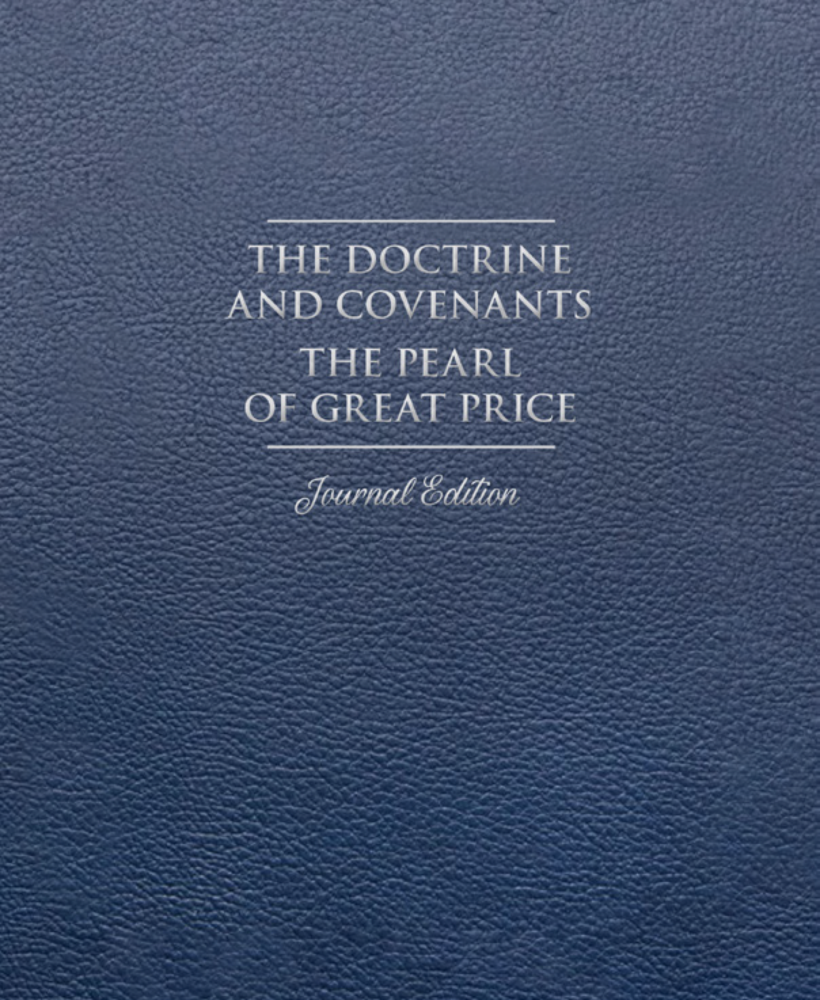 Choose Book Cover- D&C