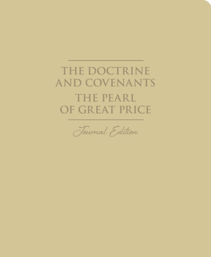 Choose Book Cover- D&C
