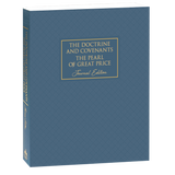 Choose Book Cover- D&C